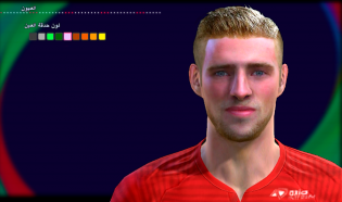 Download PES 2013 Laurent Jans Face