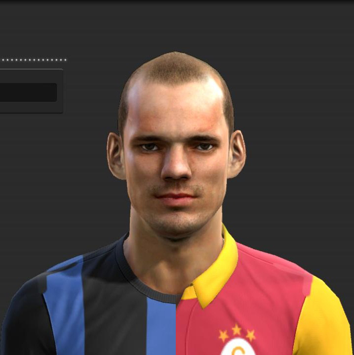 pes 2013 Wesley Sneijder yüz yaması