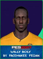 Willy Boly Face Pes 2017 by Feqan